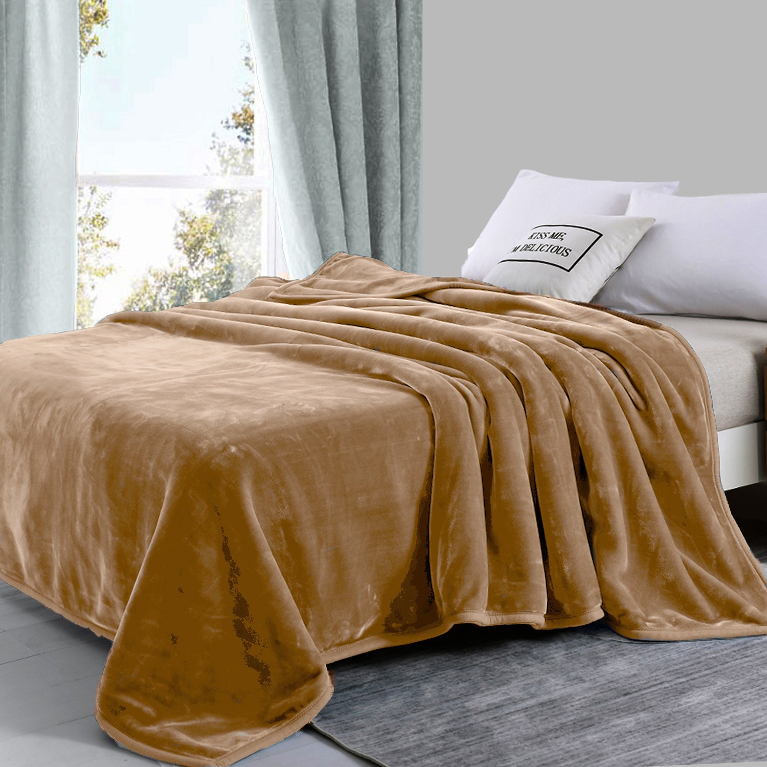 Two-Ply Soft Warm Mink Blanket 750GSM Queen Bed Extra Thick Warm