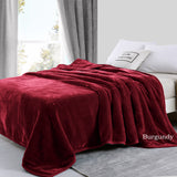 Two-Ply Soft Warm Mink Blanket 750GSM Queen Bed Extra Thick Warm