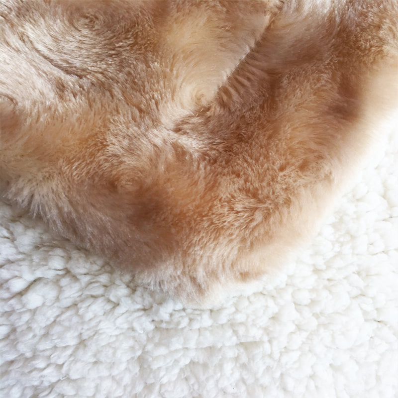 Home Fashion Plush Fleece Sherpa Backed Reversible Throw Blanket